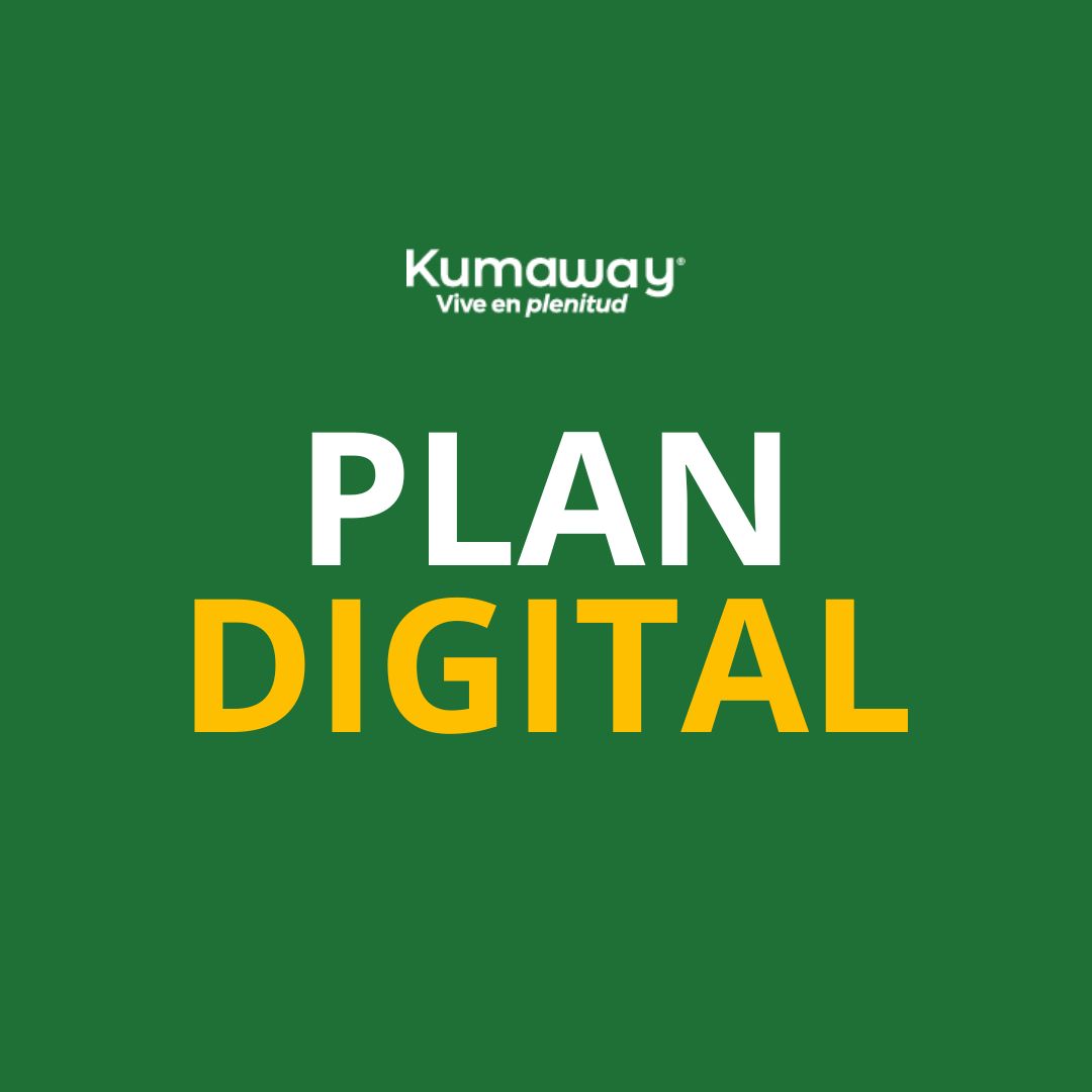 Plan Digital